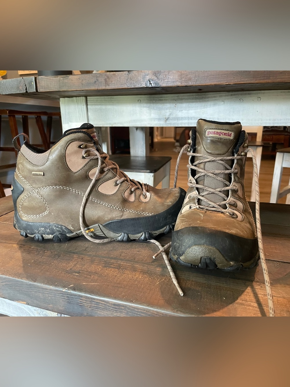 Patagonia GTX Hiking Boots Men’s 10 Goretex Outdoor Camping Gorpcore